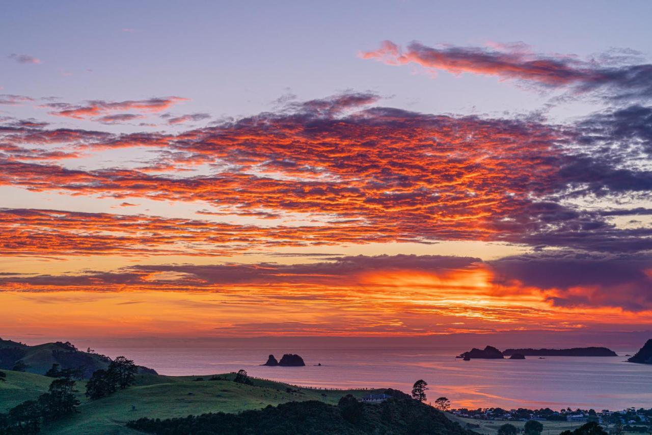 Bayview Valley Lodge Bed & Breakfast Whitianga Eksteriør billede