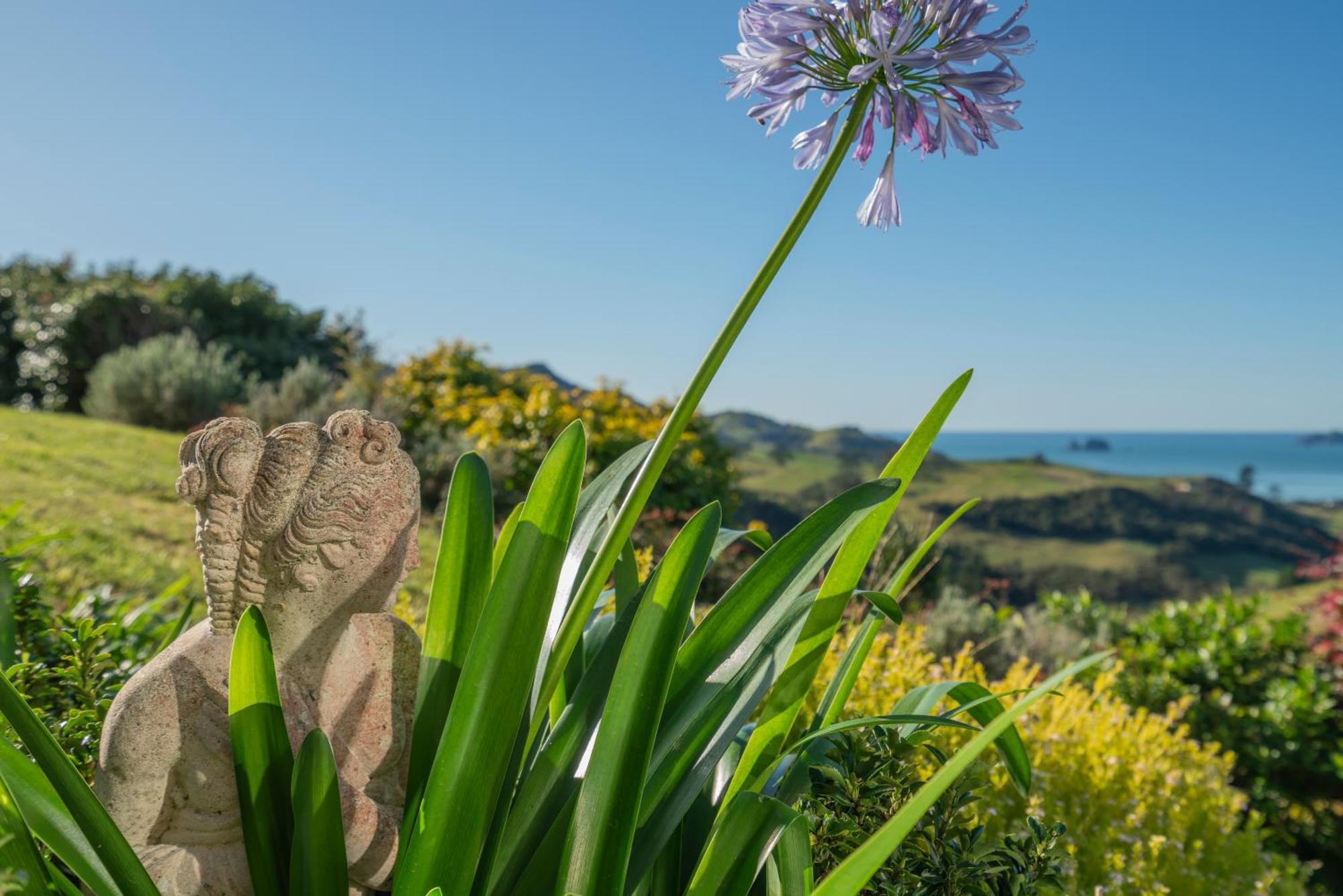 Bayview Valley Lodge Bed & Breakfast Whitianga Eksteriør billede